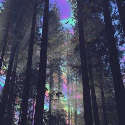 澳门第一娱乐娱城官网下载手机版